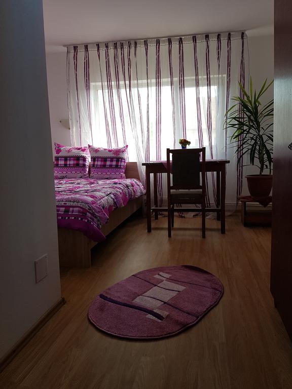 Casa Rustica Apart & Rooms Cimpineanca Екстер'єр фото